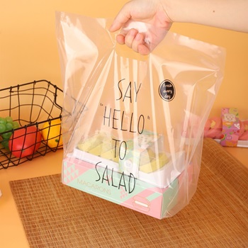 Custom Printed Salad Takeout & Fruit Bowl Packaging Bag – High-Pressure Soft Film Plastic